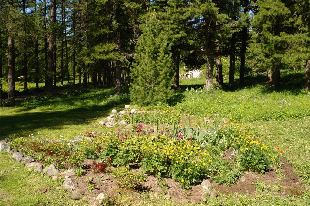 Ботанический сад Соловецкого музея-заповедника. Фото 2 – фотографии России