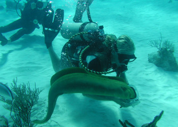 Мурена в районе Стингрей Сити – фотографии Каймановых островов