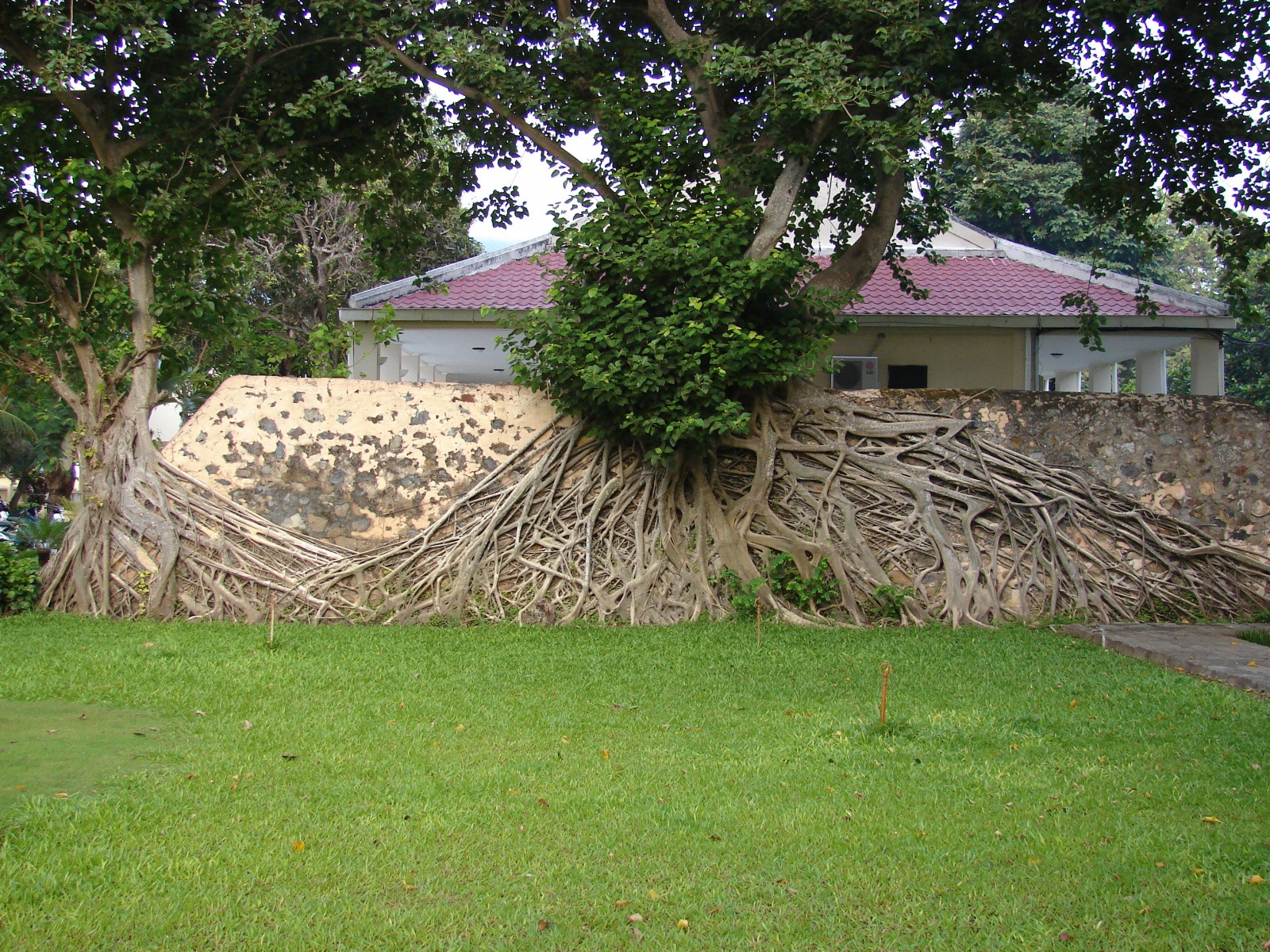 Острова Кондао – фотографии Вьетнама