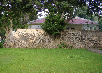 Острова Кондао – фотографии Вьетнама