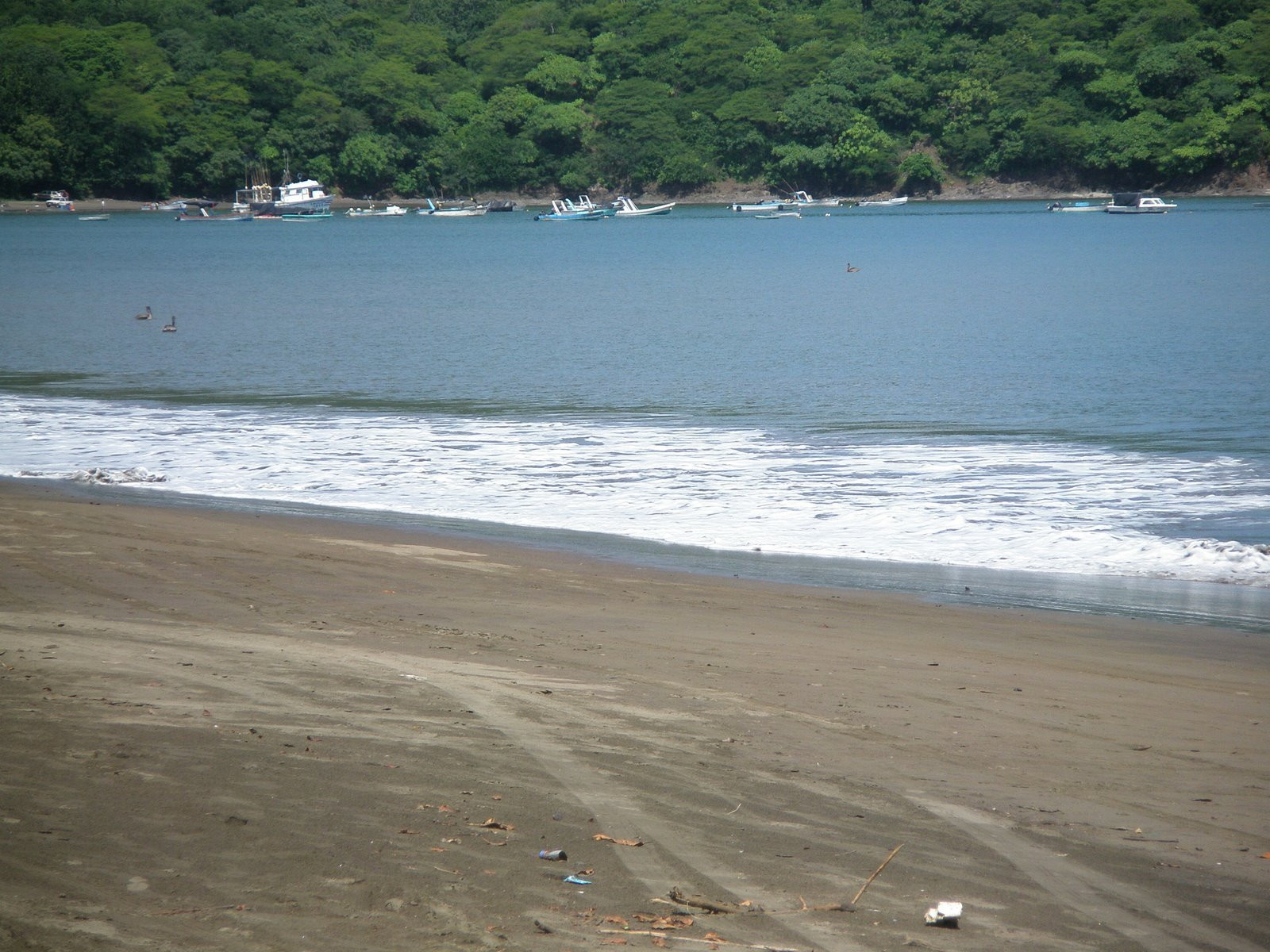 Плайяс дель Коко, Гуанакасте провинция, Коста-Рика, фото № 39891 – фотографии Коста-Рики