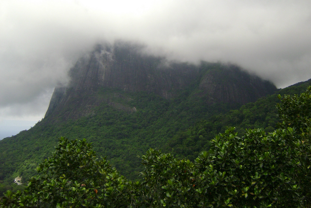 Национальный парк Тижука (Parque Nacional da Tijuca) – фотографии Бразилии