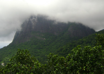 Национальный парк Тижука (Parque Nacional da Tijuca) – фотографии Бразилии