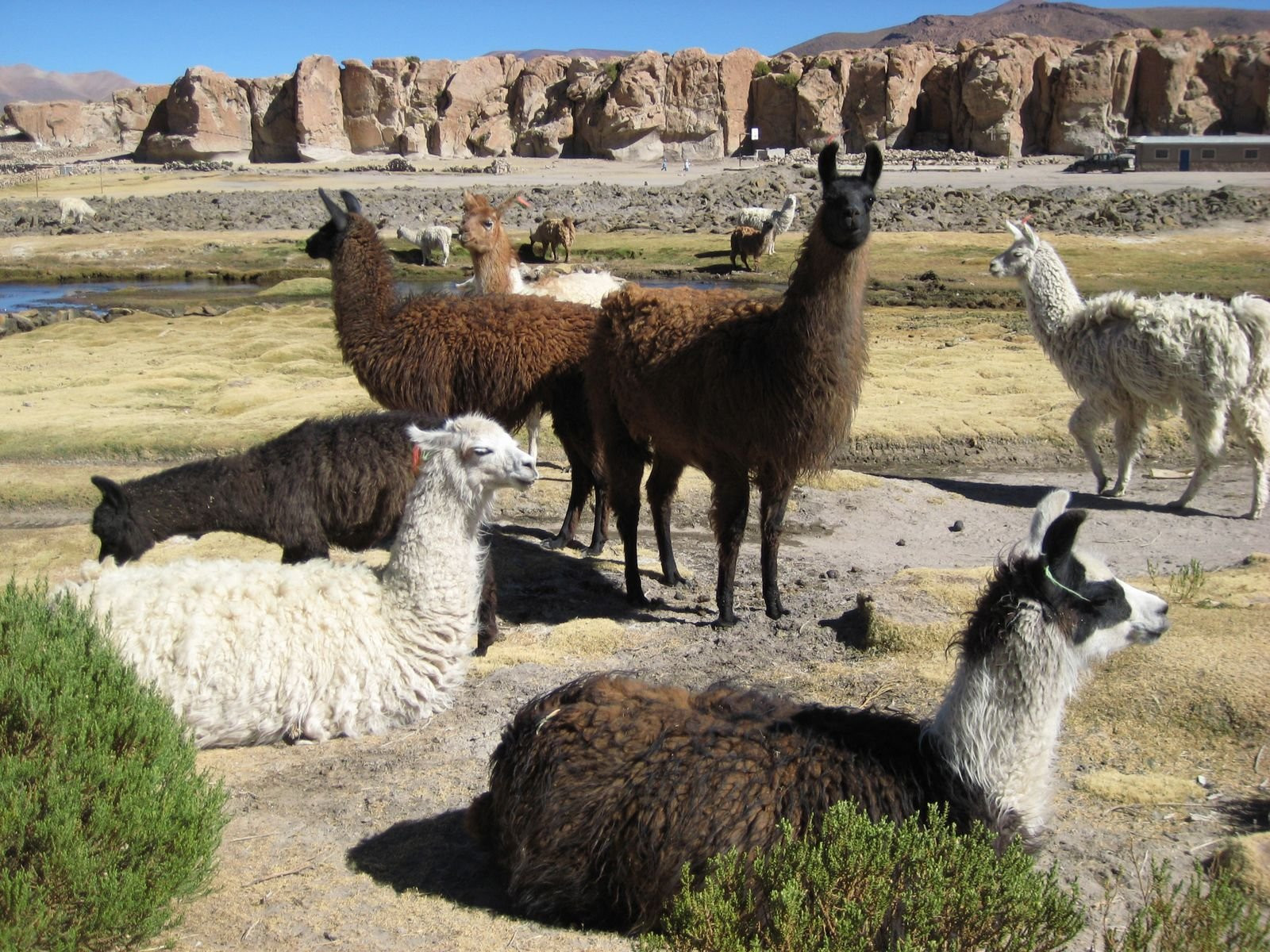 Боливия, фото № 3699 – фотографии Боливии