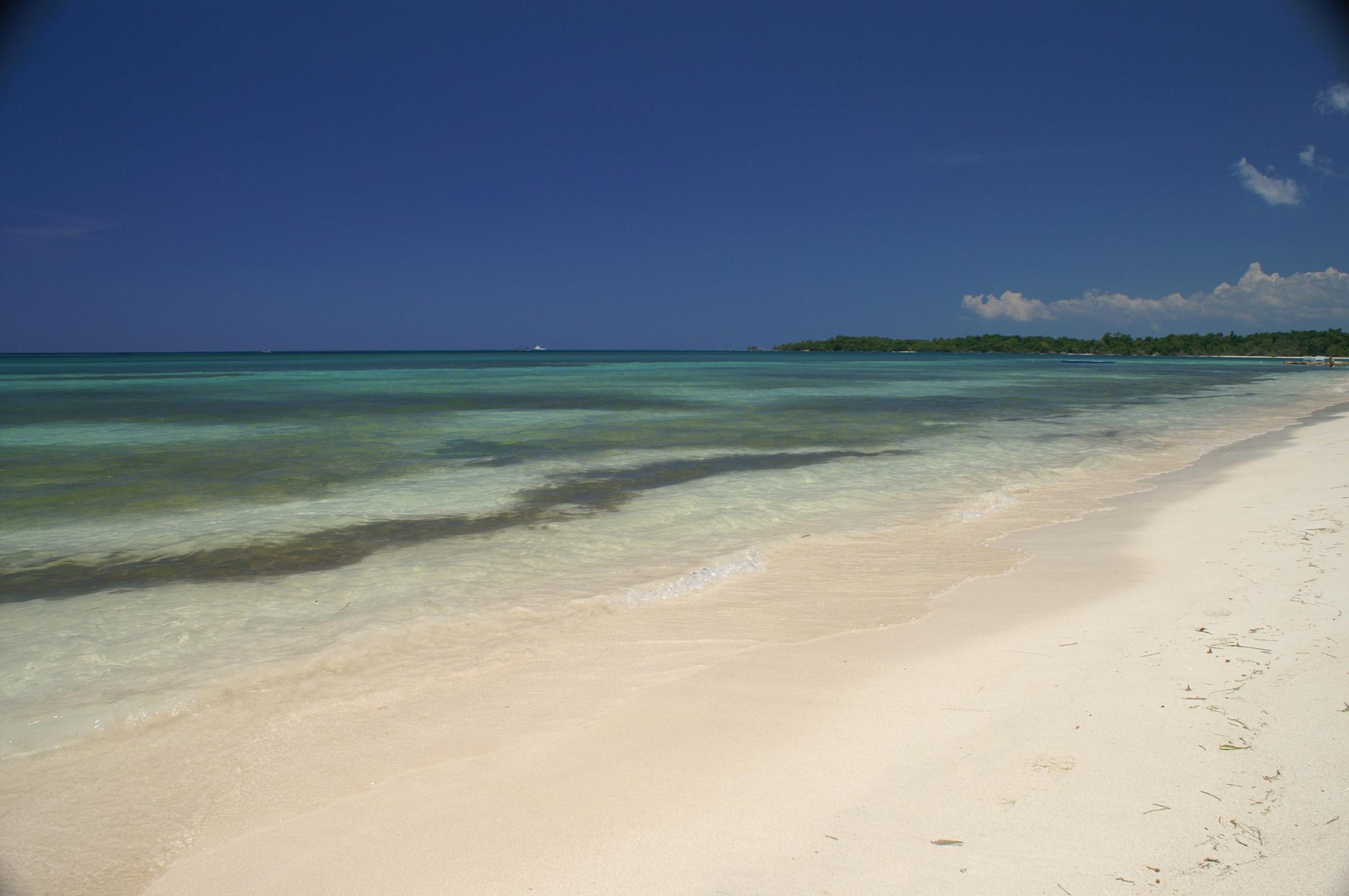 Берег моря в Уайтхаусе, Ямайка. Фото 1 – фотографии Ямайки