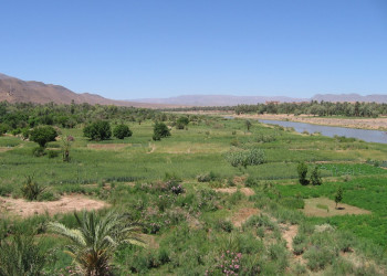 Загора, Марокко, фото № 7472 – фотографии Марокко