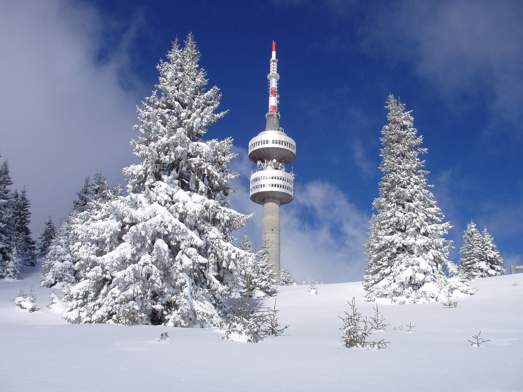 Зима в Пампорово, Болгария. Фото 5 – фотографии Болгарии