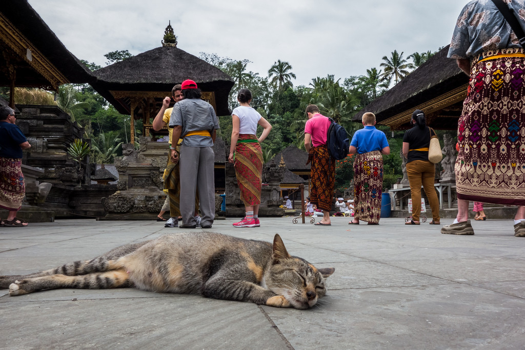 Святой источник Tirta Empul, Бали. Фото 7 – фотографии Индонезии