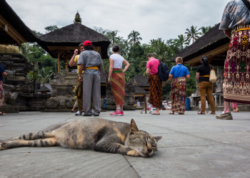 Святой источник Tirta Empul, Бали. Фото 7 – фотографии Индонезии
