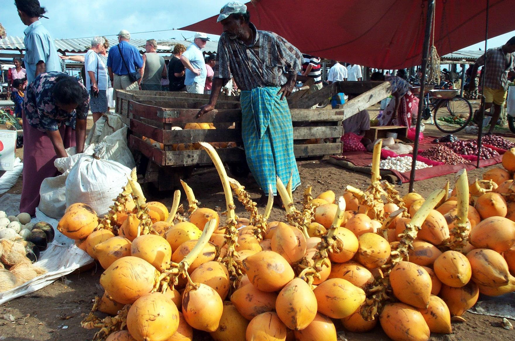 Негомбо, Шри-Ланка, фото № 51907 – фотографии Шри-Ланки