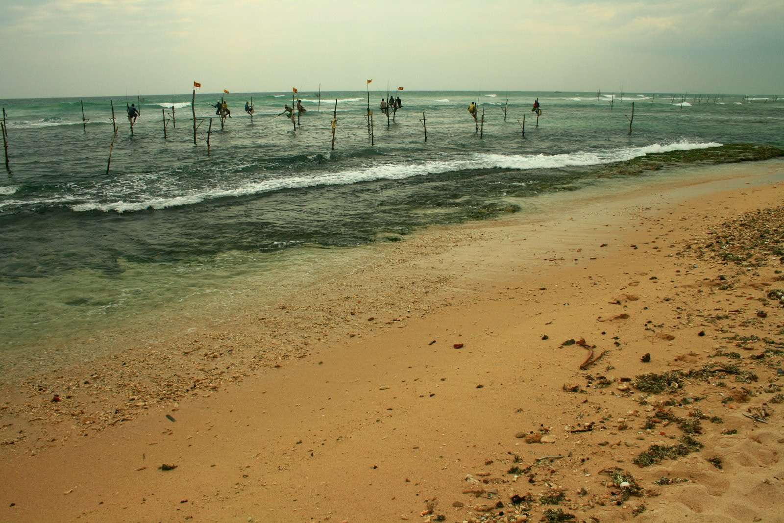 Шри-Ланка, фото № 2455 – фотографии Шри-Ланки