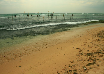 Шри-Ланка, фото № 2455 – фотографии Шри-Ланки