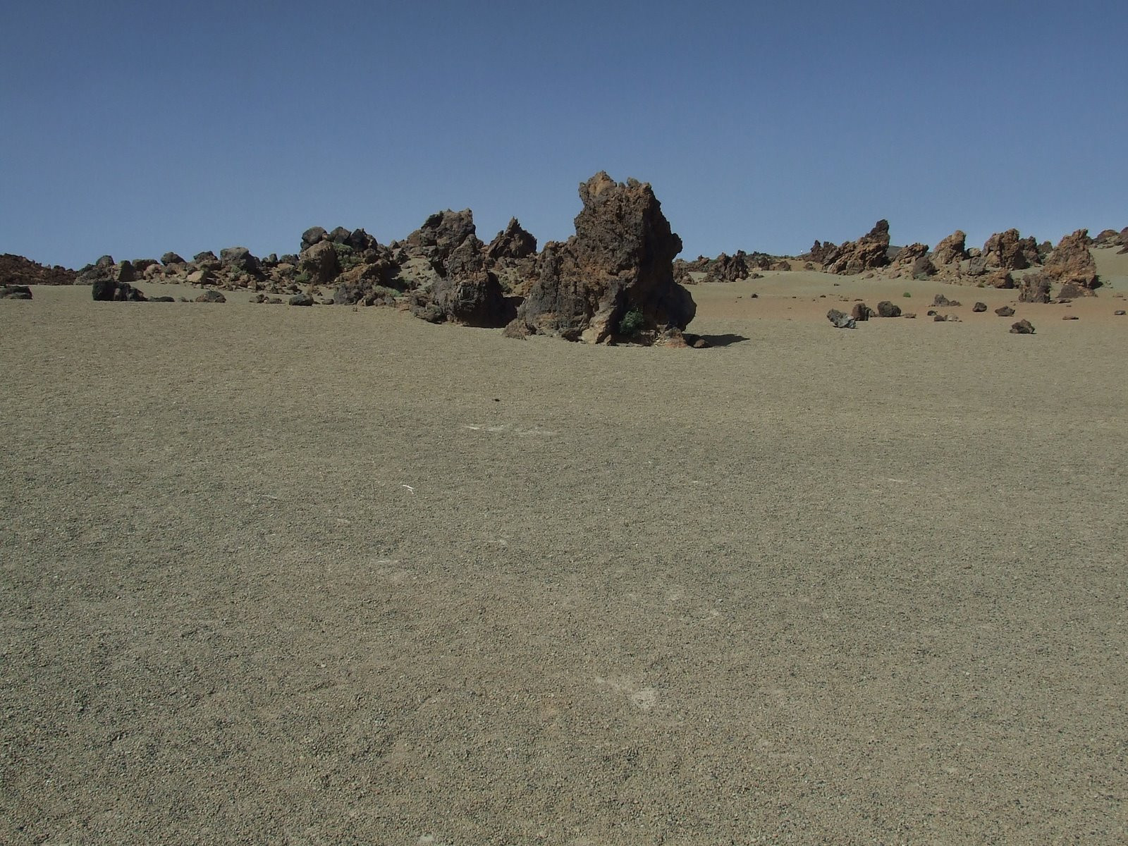 Тейде Национальный парк, Тенерифе остров, Канарские острова, фото № 33895 – фотографии Канарских островов