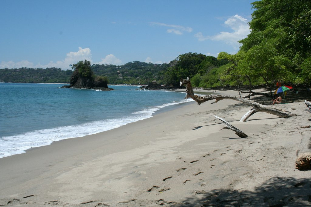 Мануэль Антонио Национальный Парк, Пунтаренас провинция, Коста-Рика, фото № 40676 – фотографии Коста-Рики