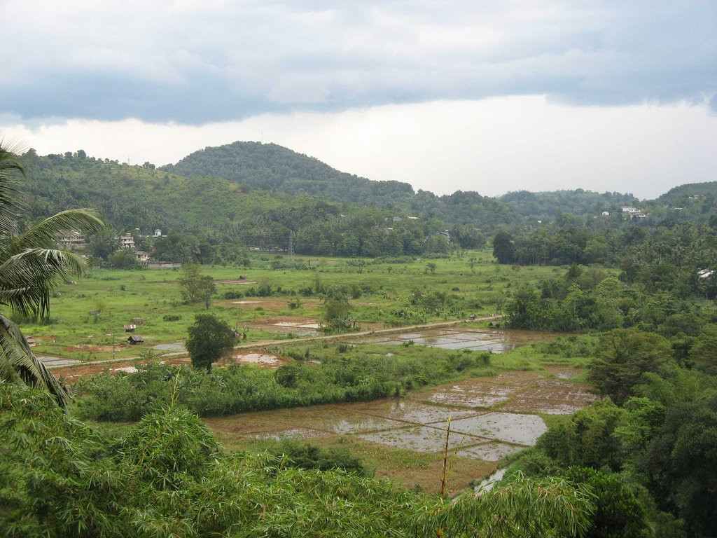 Ратнапура, Шри-Ланка, фото № 52220 – фотографии Шри-Ланки