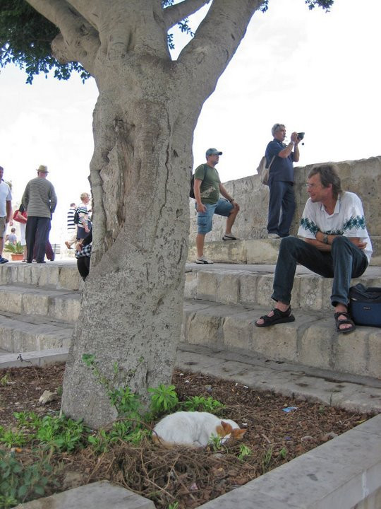 Мдина, Мальта остров, Мальта, фото № 42534 – фотографии Мальты