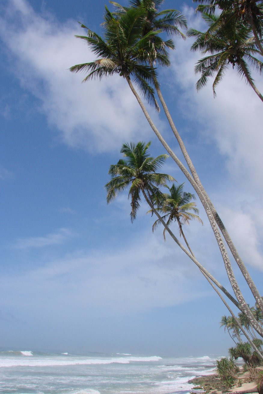 Коггала, Шри-Ланка, фото № 51549 – фотографии Шри-Ланки