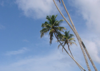 Коггала, Шри-Ланка, фото № 51549 – фотографии Шри-Ланки