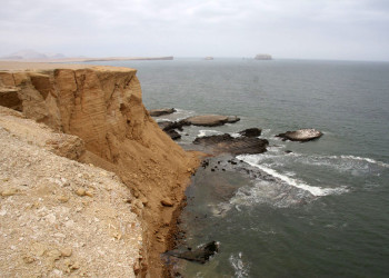 Национальный заповедник Паракас – фотографии Перу