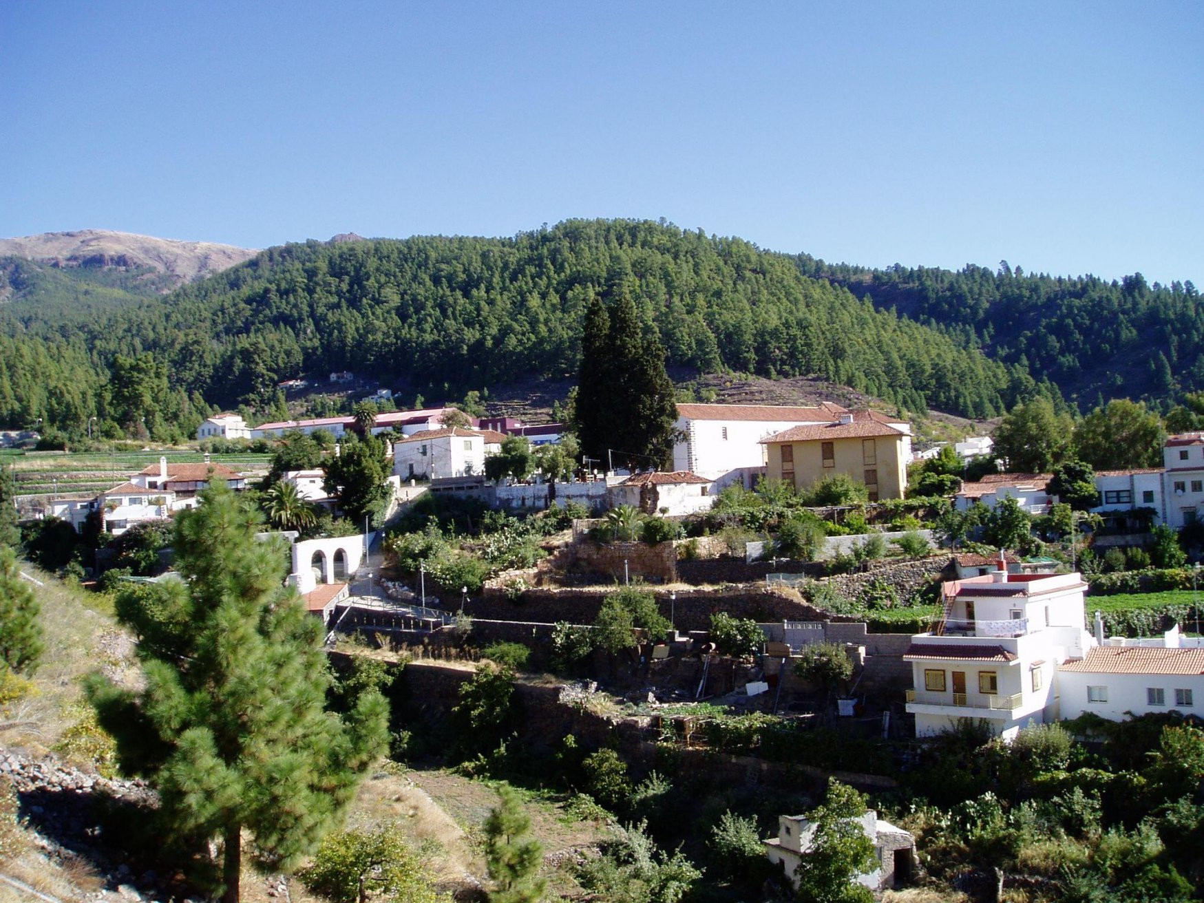 Вилафлор, Тенерифе остров, Канарские острова, фото № 32965 – фотографии Канарских островов