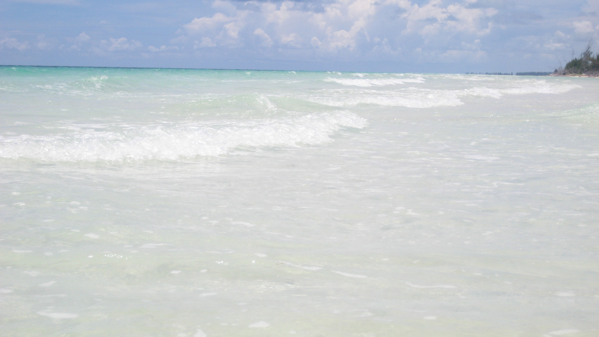 Море на острове Гранд Багама, Багамские острова. Фото 2 – фотографии Багамских островов