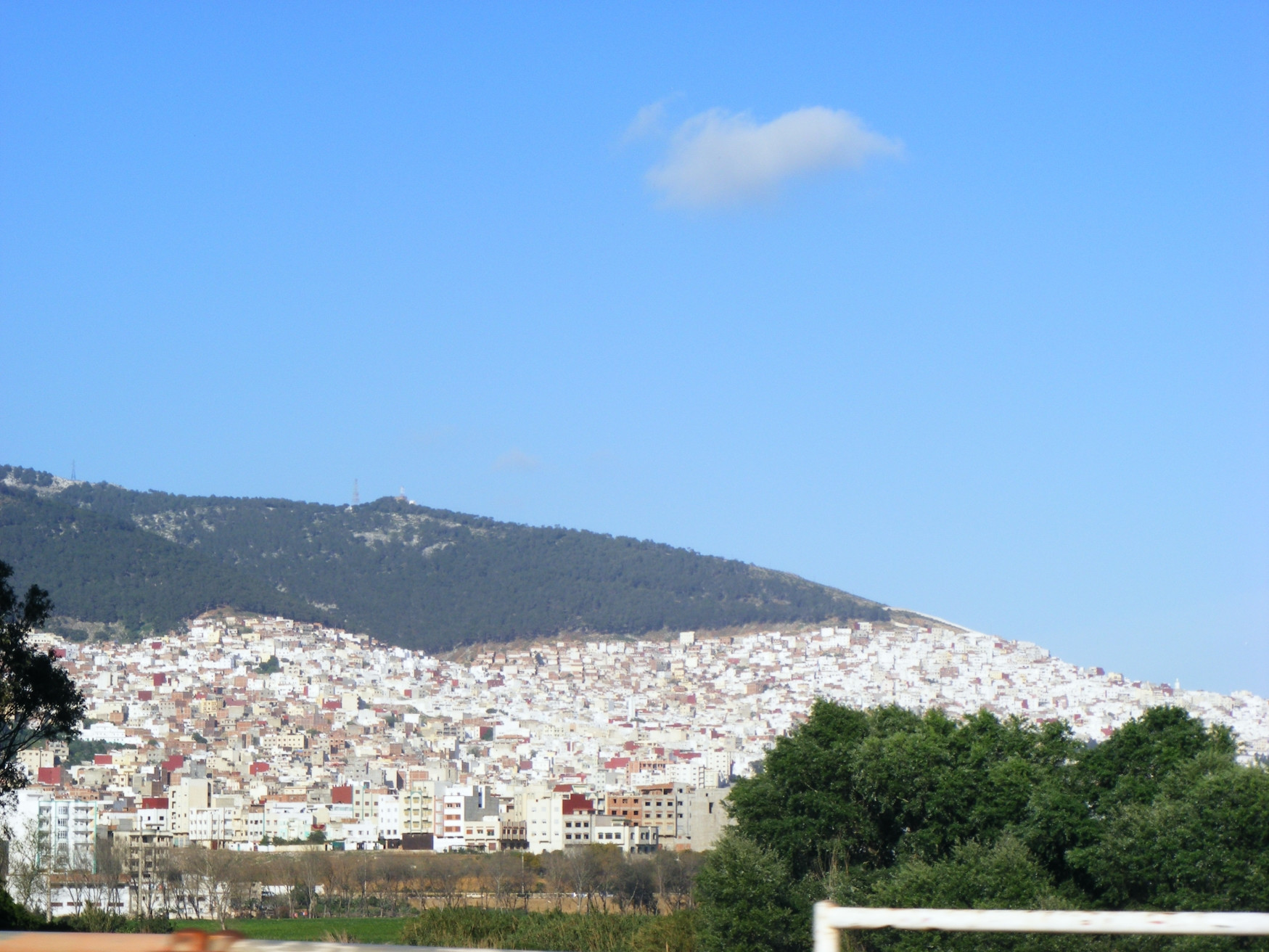 Тетуан, Марокко, фото № 8206 – фотографии Марокко