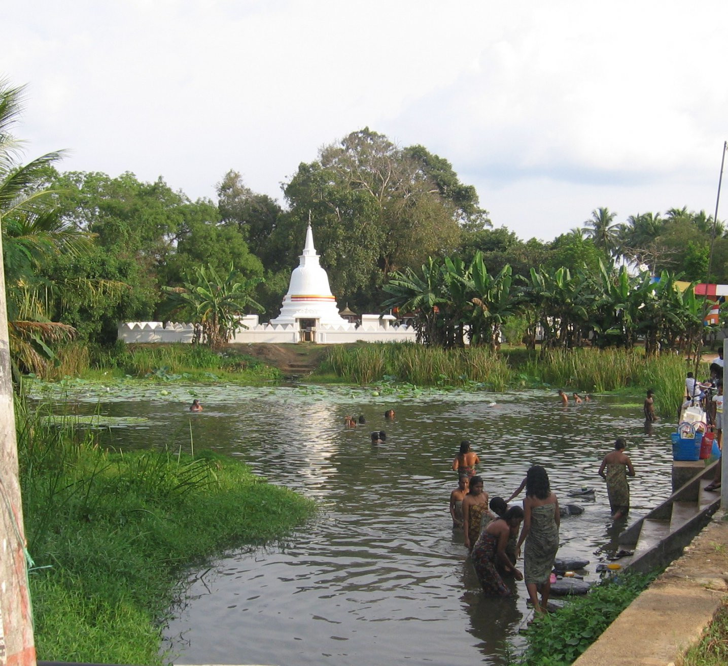 Хабарана, Шри-Ланка, фото № 52472 – фотографии Шри-Ланки