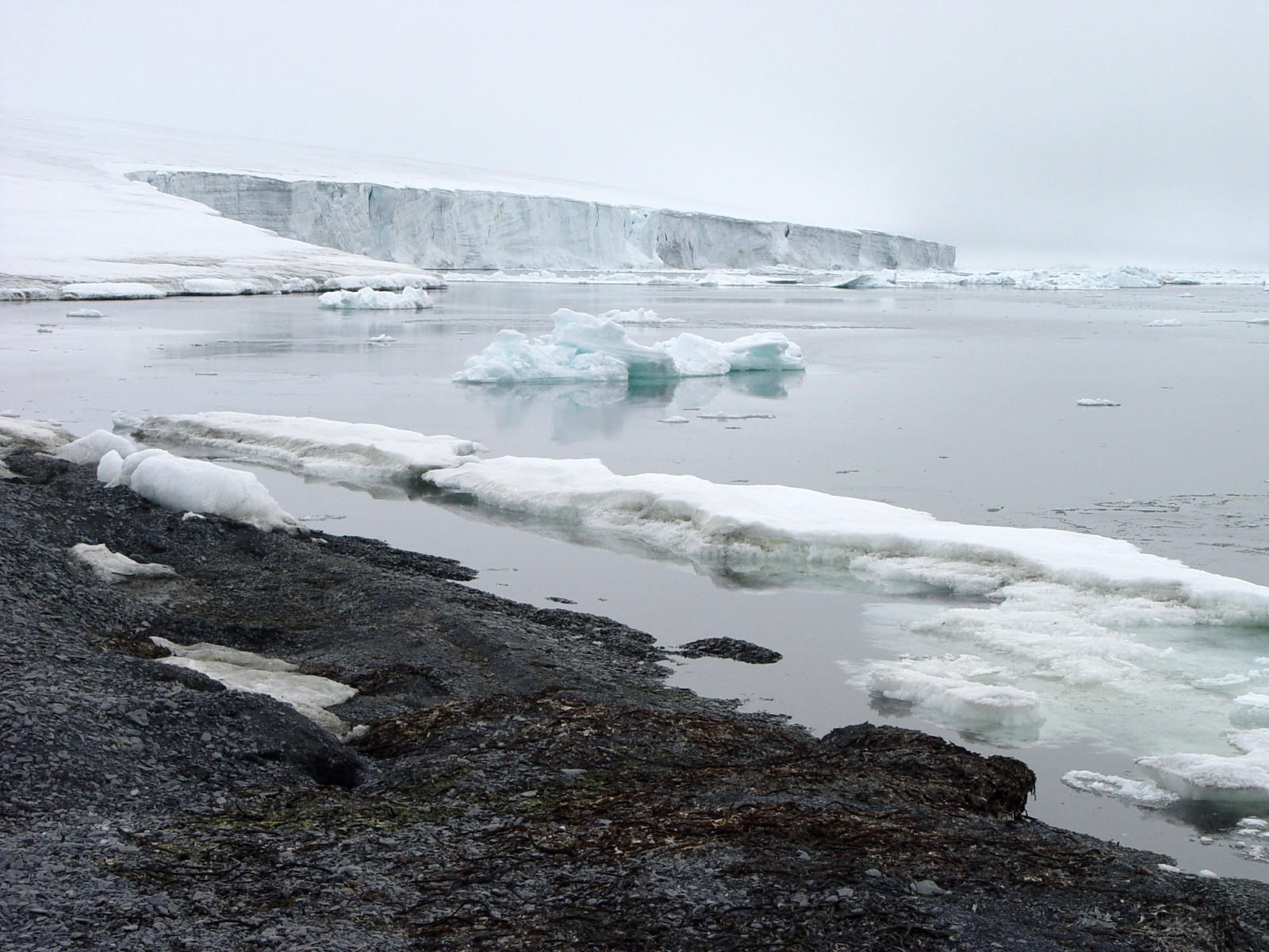 Земля Франца-Иосифа. Фото 1 – фотографии России