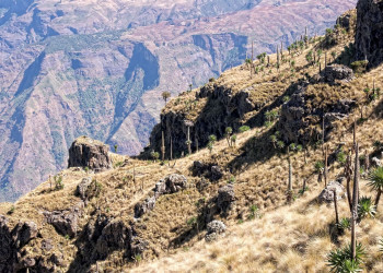 Нагорье, Эфиопия. Фото 1 – фотографии Эфиопии