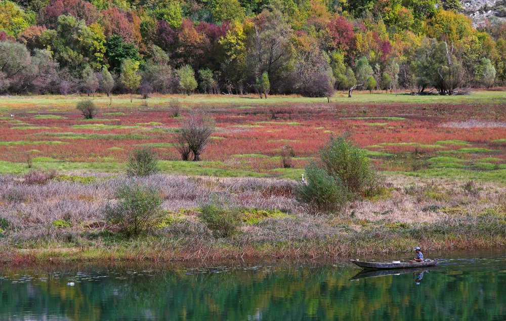 Рижека Крножевица – фотографии Черногории
