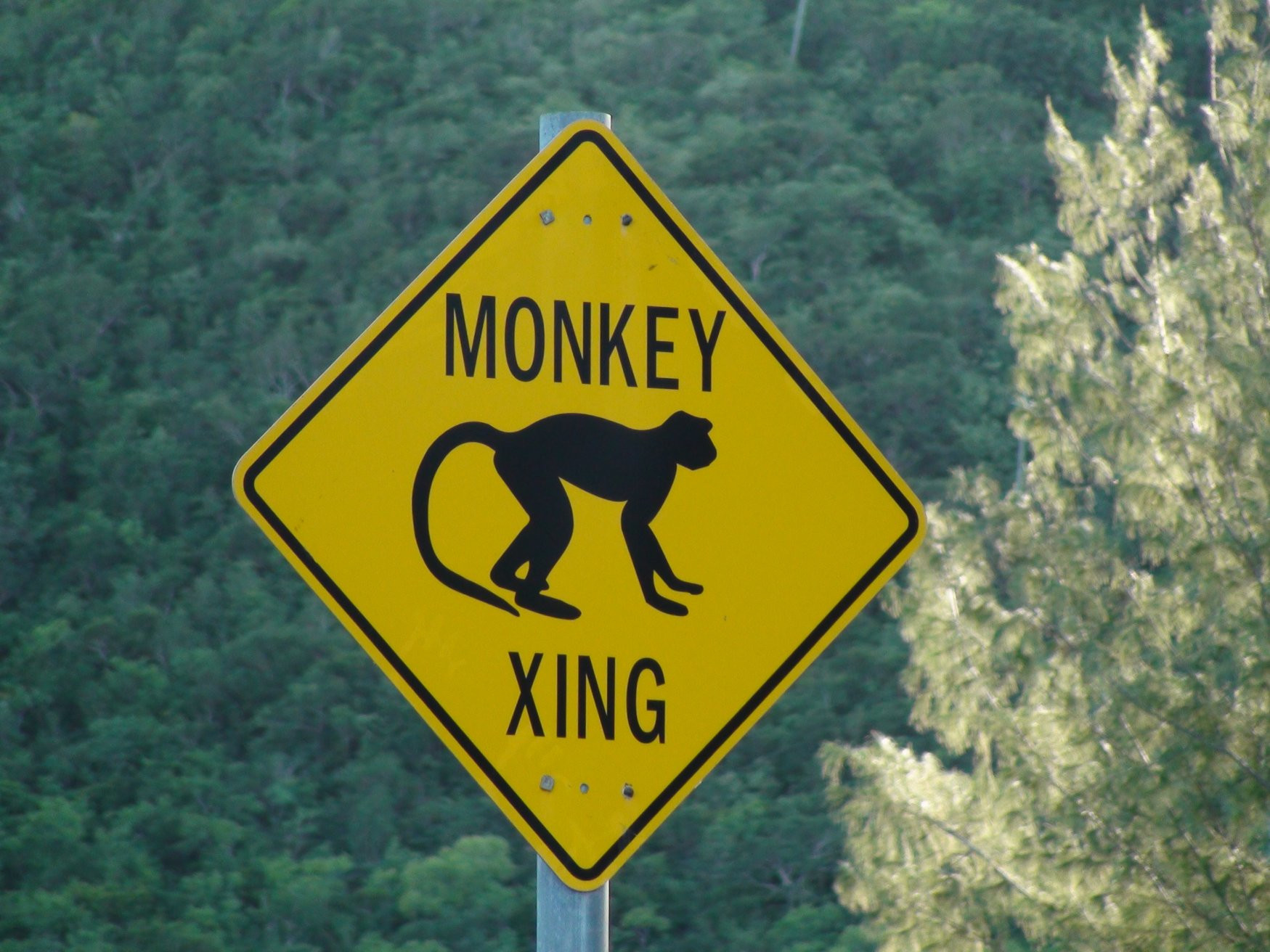 Невис остров, Сент-Китс и Невис, фото № 71543 – фотографии Сент-Китс и Невис