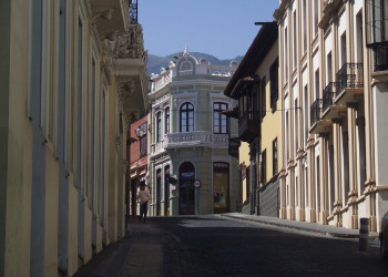 Ла-Оротава, Тенерифе остров, Канарские острова, фото № 33313 – фотографии Канарских островов