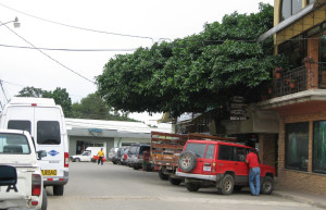 Монтеверде, Пунтаренас провинция, Коста-Рика, фото № 40775 – фотографии Коста-Рики