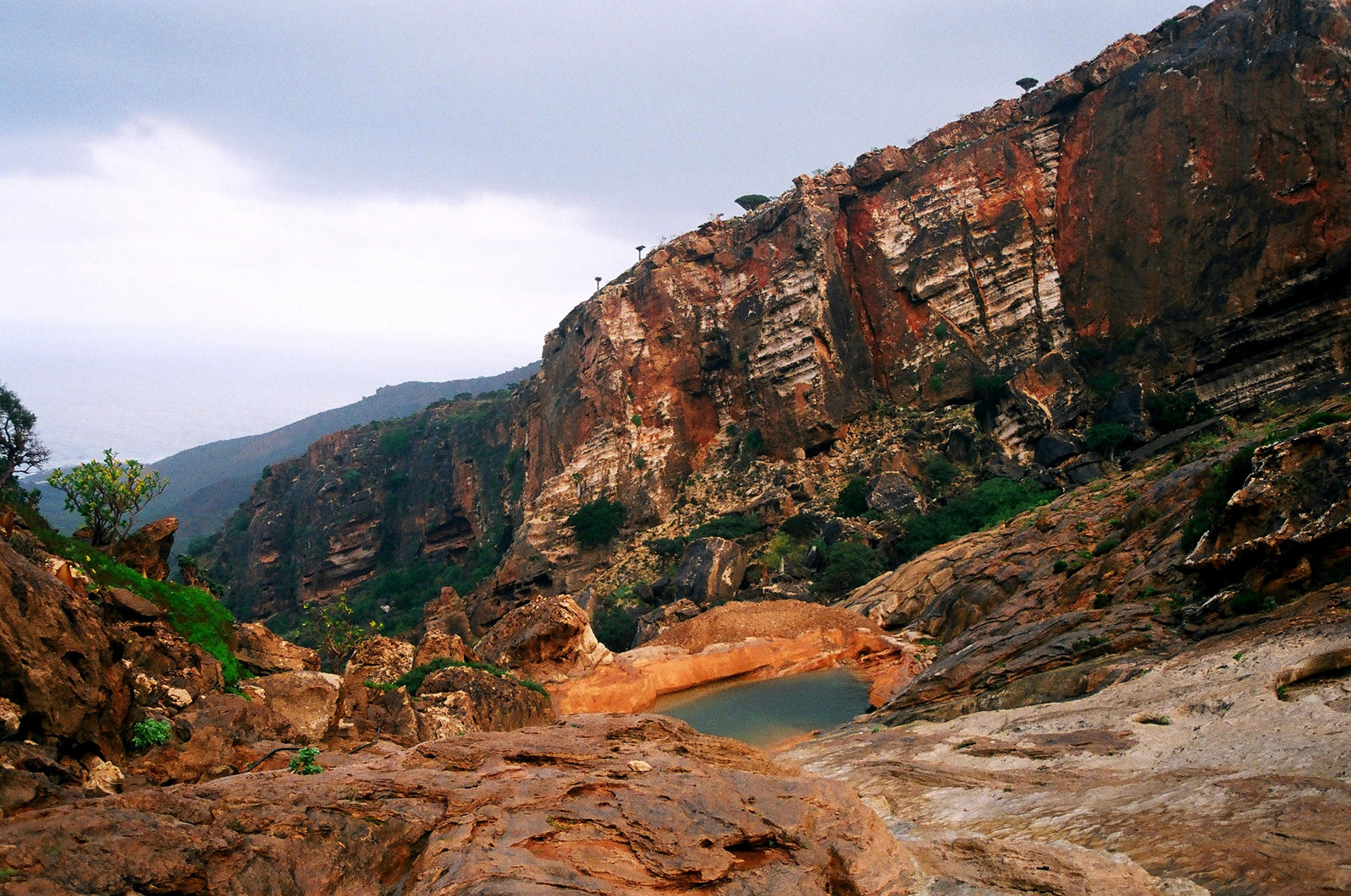 Остров Сокотра в Индийском океане у побережья Сомали – фотографии Йемена