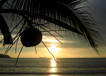 Плайя Потреро, Гуанакасте провинция, Коста-Рика, фото № 39723 – фотографии Коста-Рики