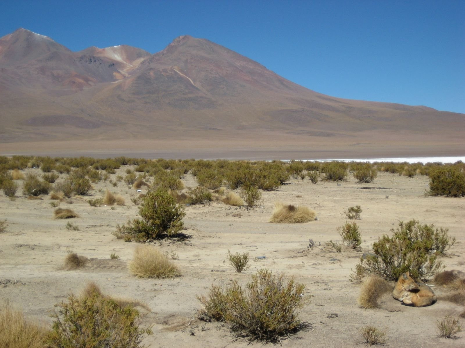 Боливия, фото № 3692 – фотографии Боливии