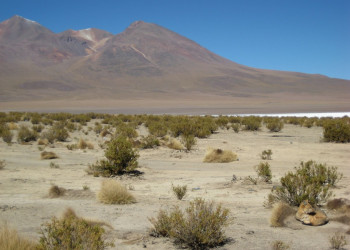 Боливия, фото № 3692 – фотографии Боливии