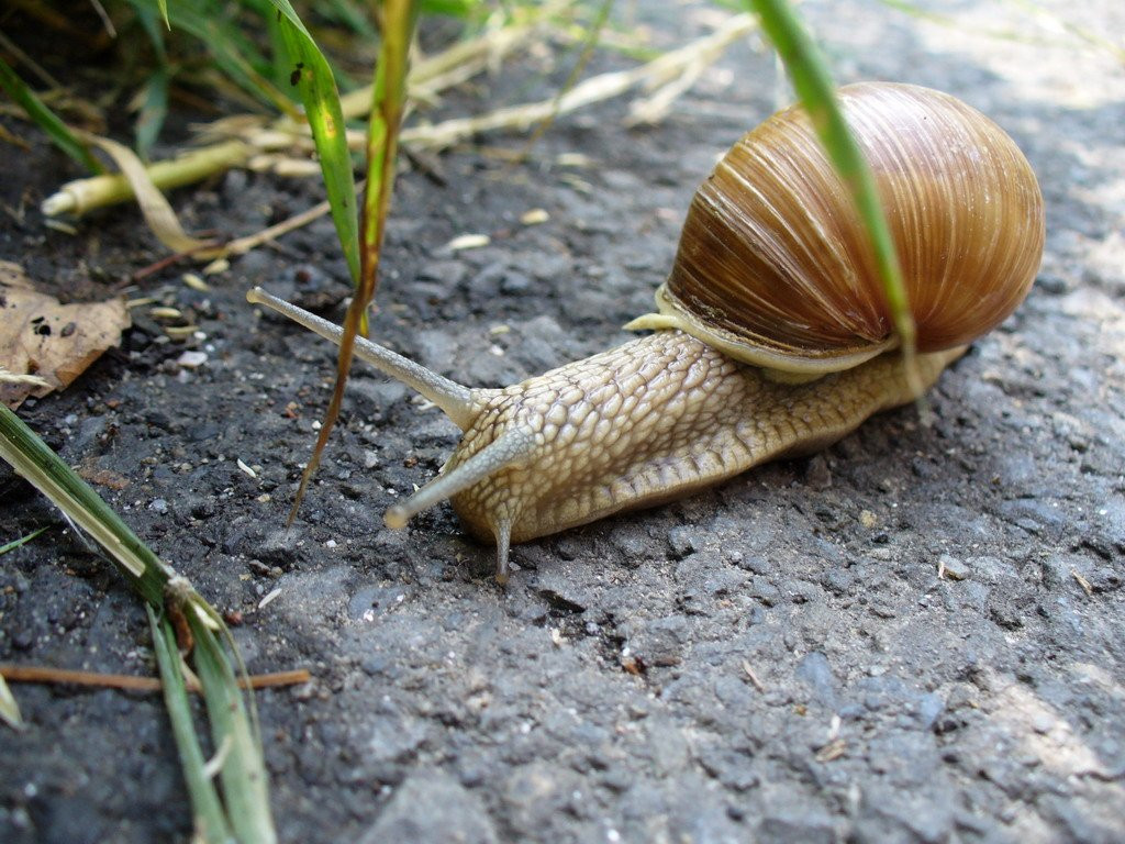 Дарков, Чехия, фото № 68745 – фотографии Чехии