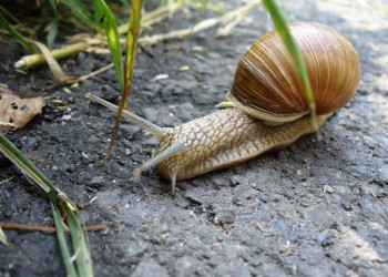 Дарков, Чехия, фото № 68745 – фотографии Чехии