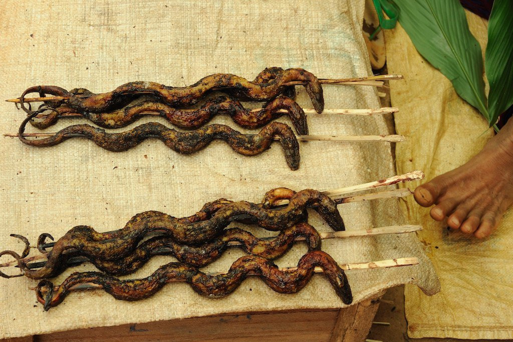 Шашлыки змеиные – фотографии Мьянмы