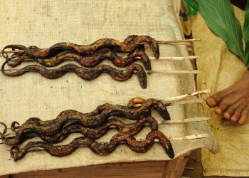 Шашлыки змеиные – фотографии Мьянмы