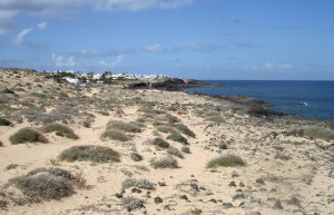 Чарко-дель-Пало, Лансароте остров, Канарские острова, фото № 32853 – фотографии Канарских островов