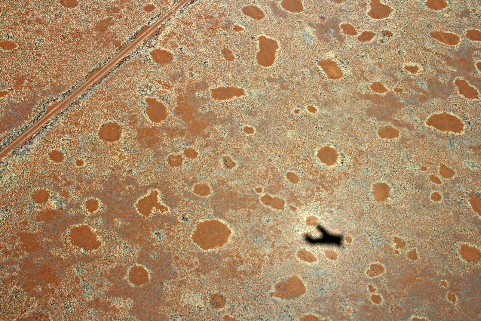 Загадочные круги в Намибии. Фото 1 – фотографии Намибии