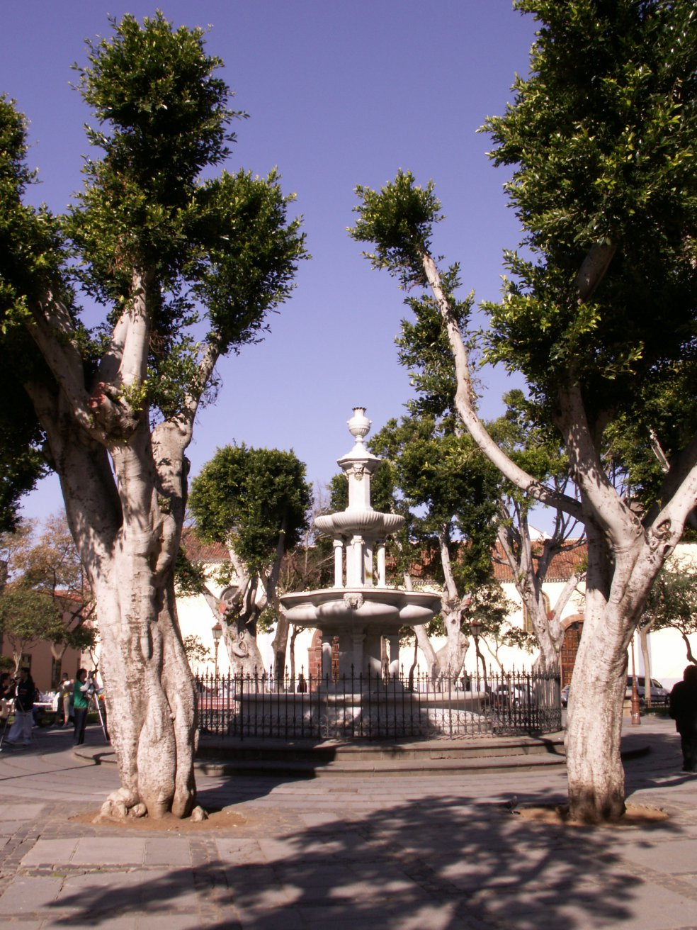 Сан-Кристобаль-де-ла-Лагуна, Тенерифе остров, Канарские острова, фото № 33253 – фотографии Канарских островов