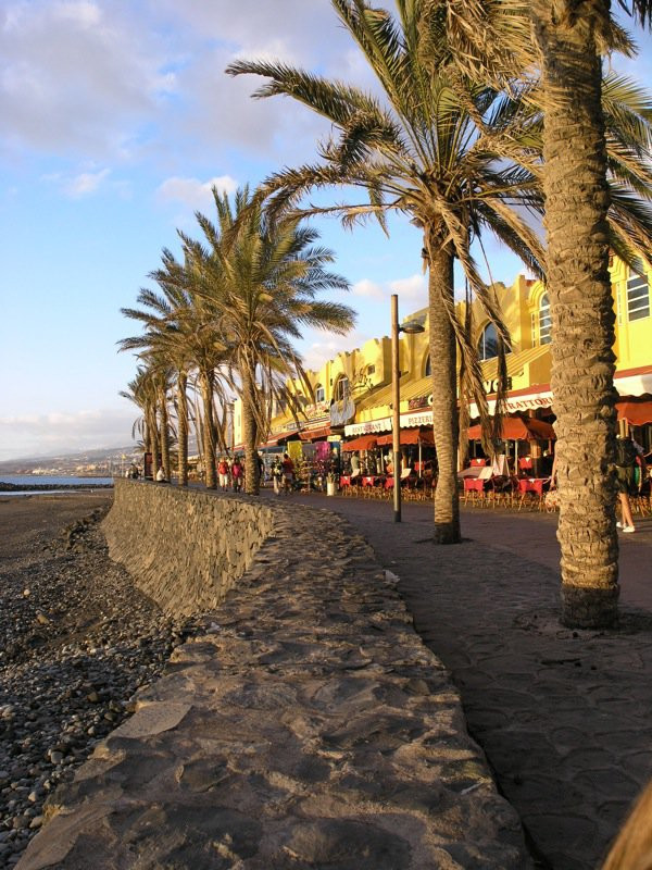 Плайя-де-лас-Америкас, Тенерифе остров, Канарские острова, фото № 33566 – фотографии Канарских островов