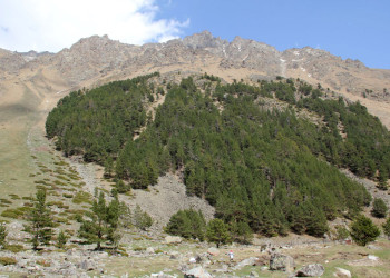 Приэльбрусье, Россия. Фото 16 – фотографии России