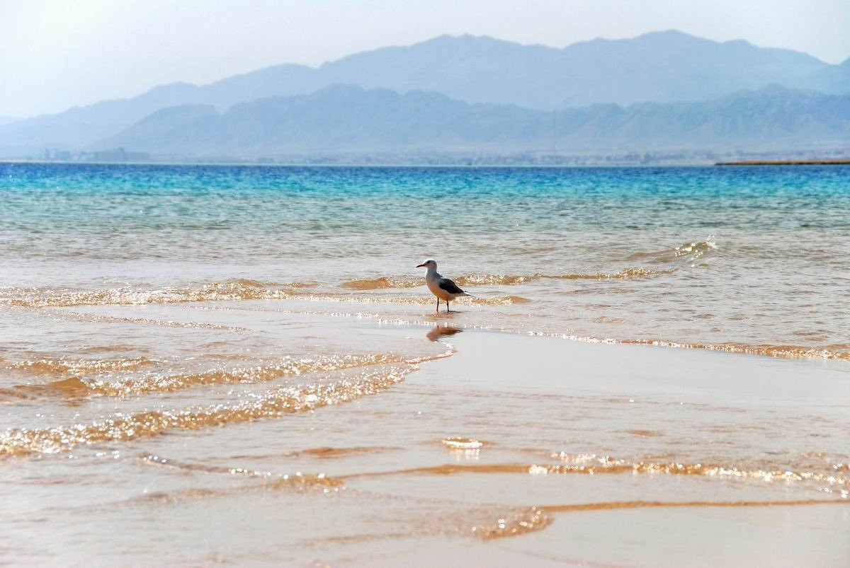 Сома-Бэй, Египет, фото № 35415 – фотографии Египта