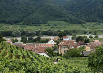 Шпиц (Spitz) – небольшой городок на севере Австрии – фотографии Австрии
