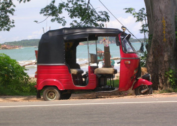 Велигама, Шри-Ланка, фото № 50852 – фотографии Шри-Ланки