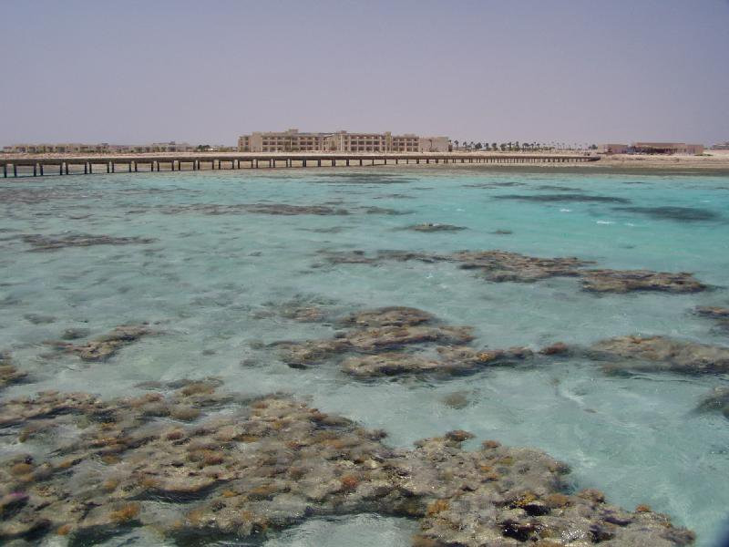 Сома-Бэй, Египет, фото № 35412 – фотографии Египта